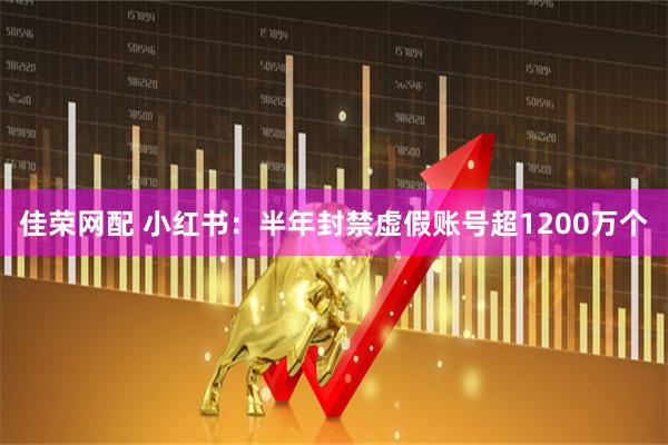 佳荣网配 小红书：半年封禁虚假账号超1200万个